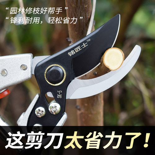 果树修枝剪树枝专用花艺剪子省力剪枝园林工具花剪修剪园艺剪刀
