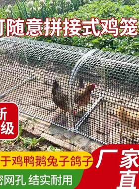 大号鸡笼子防雨遮雨棚家用室外加粗加密铁丝网跑道隧道鸭笼子狗笼