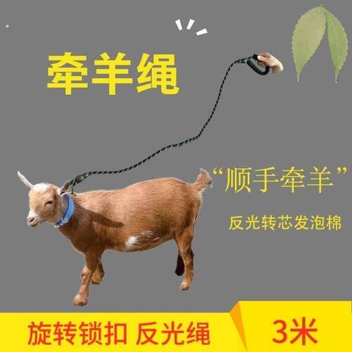 牵羊绳子脖套铃铛犬用牵引绳农村养羊拴羊牵羊带锁扣可旋转不勒手