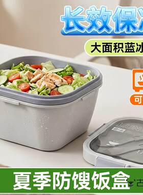 夏天带饭防馊饭盒制冷饭盒上班族保冷饭菜神器夏季冷藏保鲜保温盒