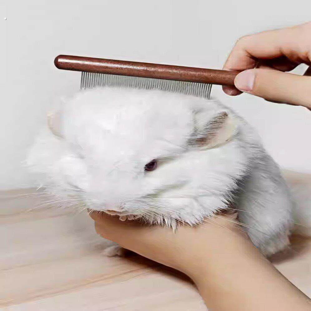 龙猫小宠物洗澡专用梳子宠物兔兔用品荷兰猪兔子清洁梳毛器按摩器
