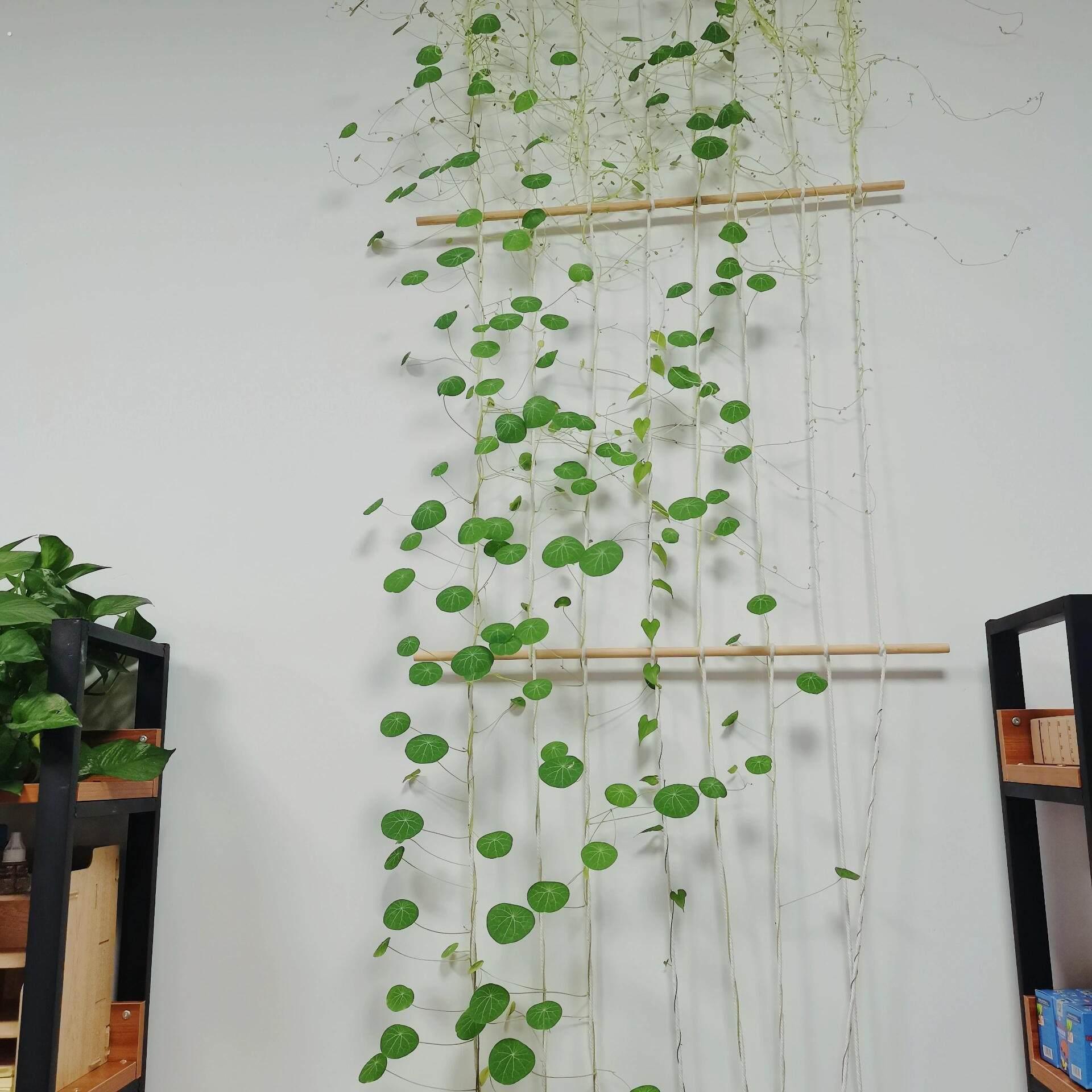 山乌龟爬藤架！绿植物室内攀爬软网格牵引线仿麻绳木梯子装饰壁挂