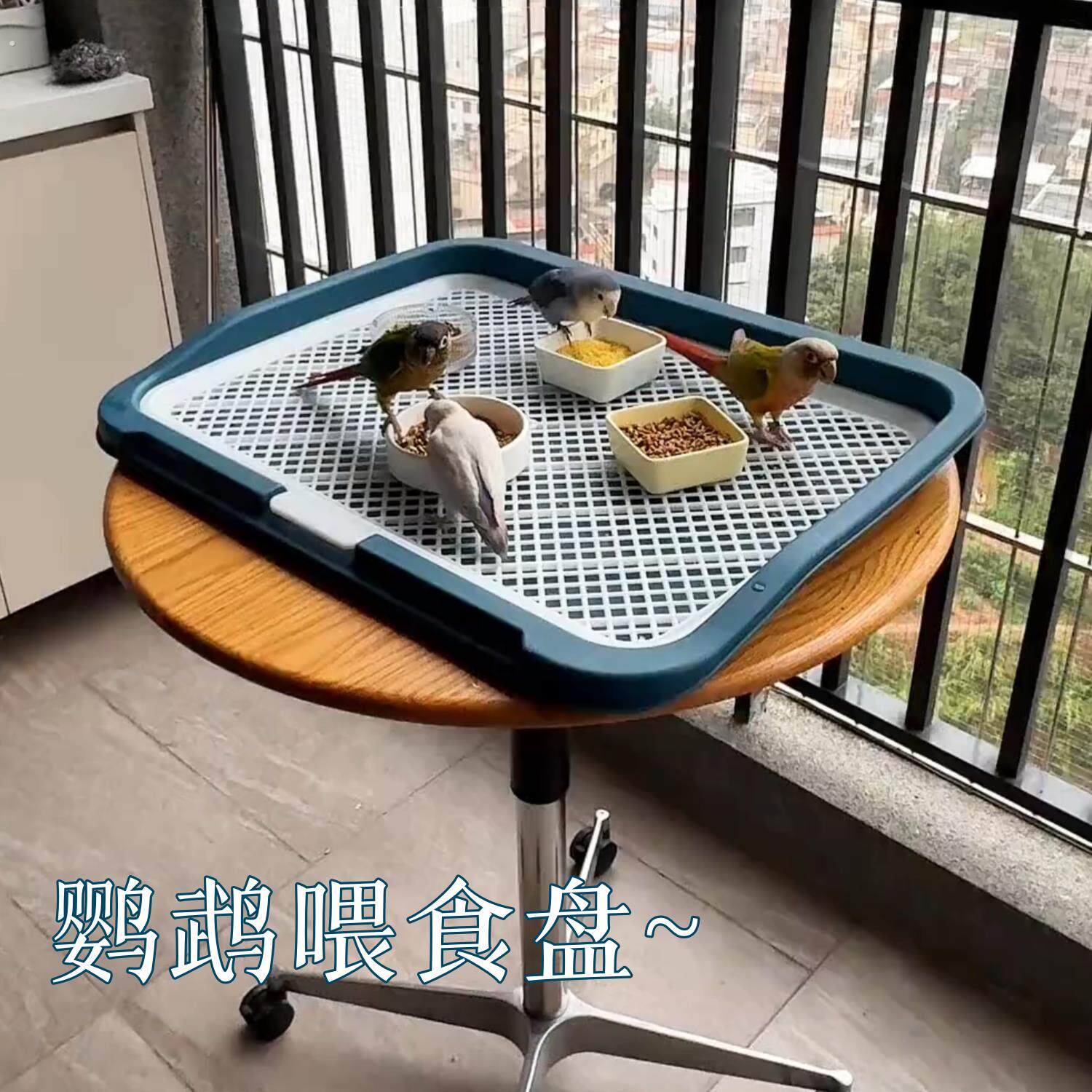 鹦鹉散养喂食盘大号谷壳分离喂鸟神器玄风小太阳防打翻防飞溅鸟粮