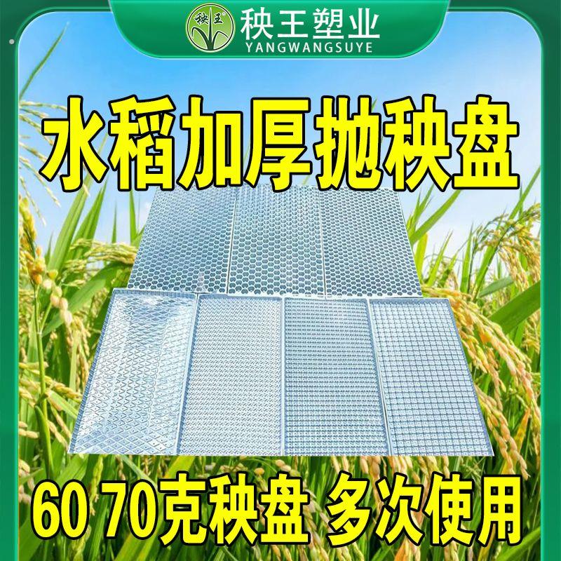 加厚水稻育秧盘秧王大厂抛秧盘水稻育苗盘秧苗盘秧盘