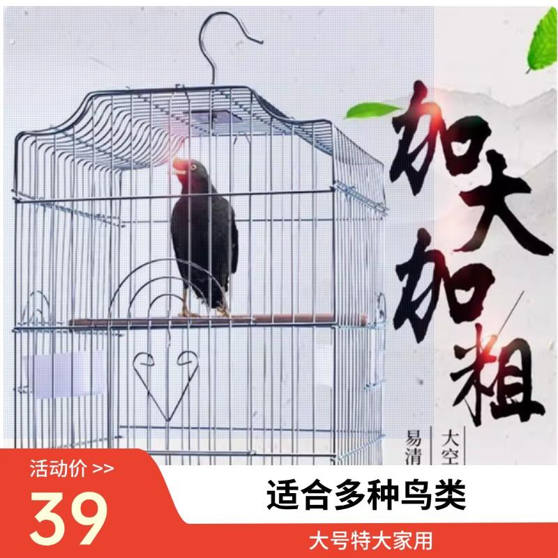 鸟笼鸽子八哥玄凤鹩哥鹦鹉笼子大号特大家用电镀不锈钢色大型鸟笼