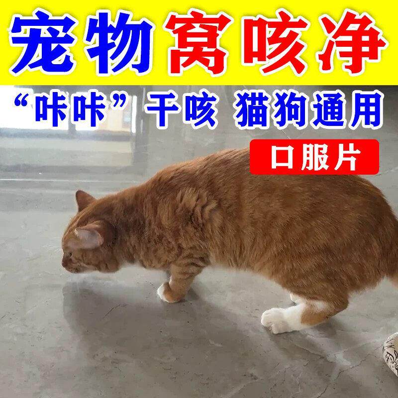 窝咳净升级版小猫咪干咳呕打喷嚏一抽一抽专用口服片猫犬窝咳通用