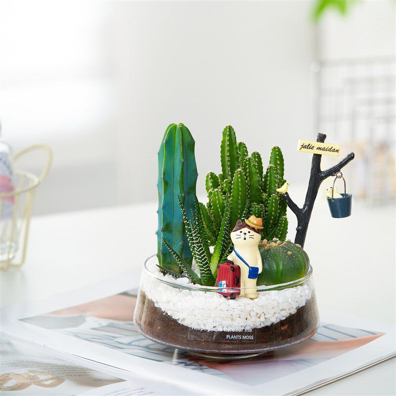 【DIY】仙人掌盆栽组合多肉植物万重山办公室工位桌面创意绿植