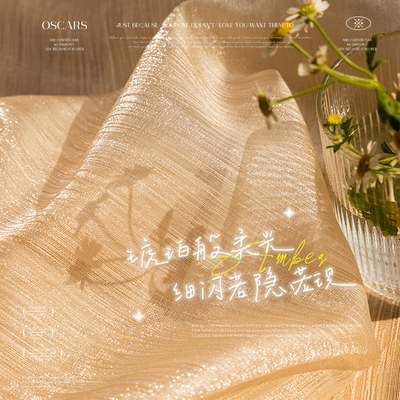法式梦幻纱帘透光不透人卧室薄纱高级感客厅轻奢窗帘2025新款窗纱
