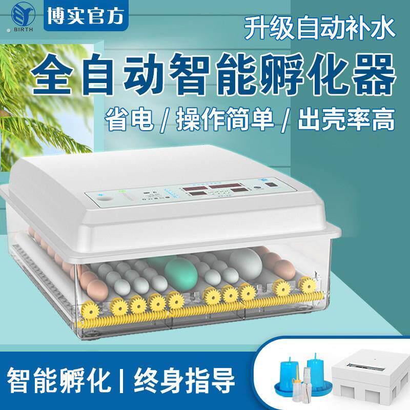 孵化器小型家用孵蛋机鸡鸭鹅鹦鹉鸽蛋孵蛋器迷你全自动智能孵化机