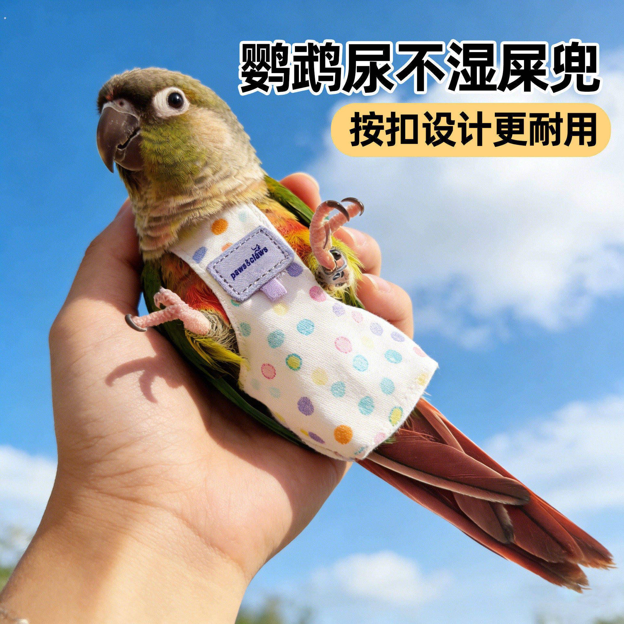 鹦鹉衣服外出牵引绳超轻遛鸟抱婴袋玄风虎皮牡丹放飞牵引防丢飞行