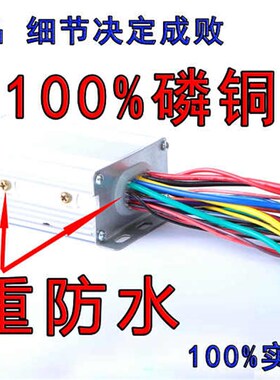 锂电电动车控制器36V48V250W无刷智能通用代驾车改装