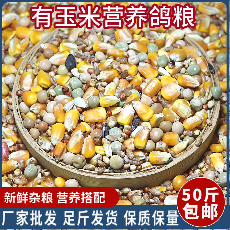 50斤装有玉米鸽粮赛飞营养饲料鸟食信鸽观赏鸽肉鸽粮鸽子食包邮