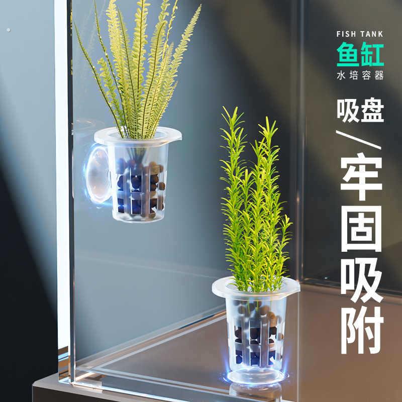 水培定植篮无土栽培蔬菜定植杯定植绵种植塑料圆形篮子阳台水耕