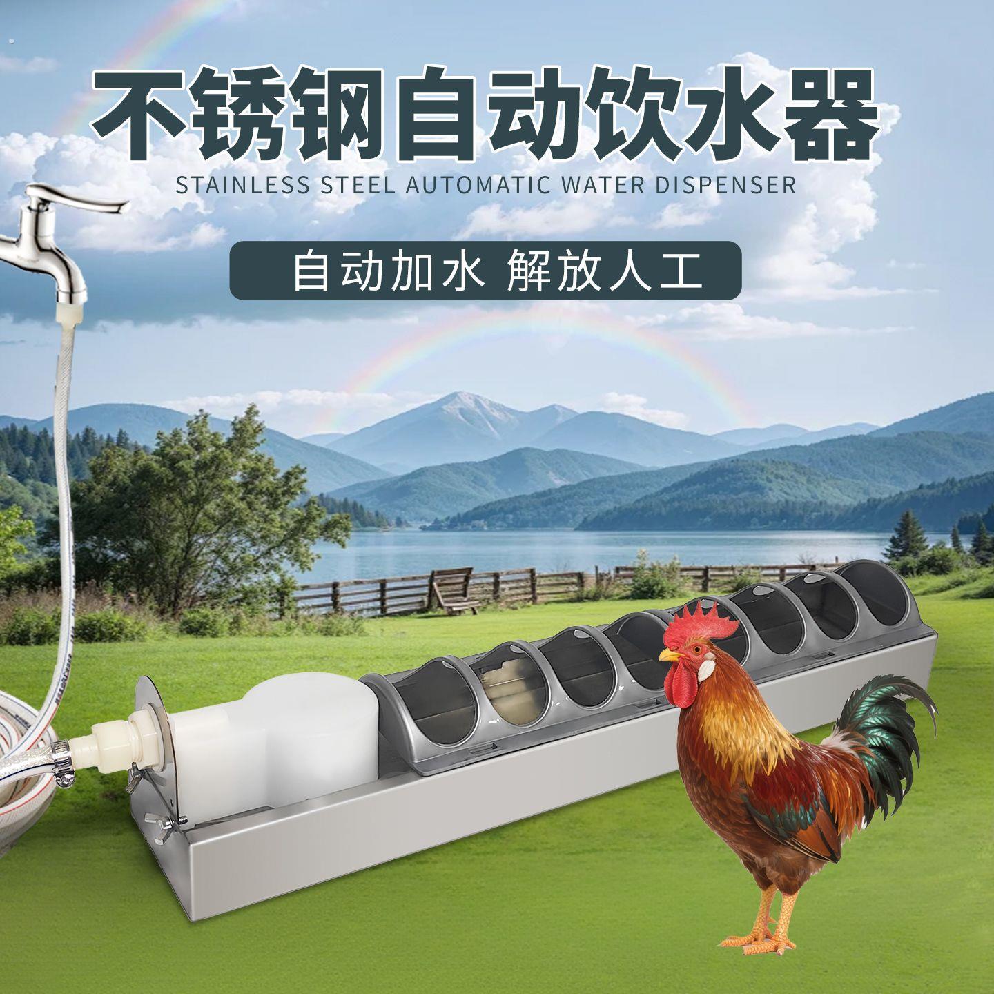 鸡自动饮水器鸡水槽不锈钢自动饮水器鸽子鸡鸭鹅家禽养殖饮水神器