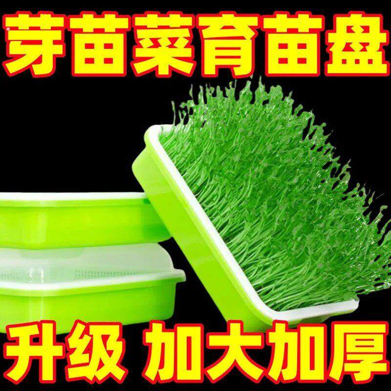 加密加厚育苗蔬盘子盆芽苗菜水培网格豌豆苗豆芽种植盘阳台小菜园