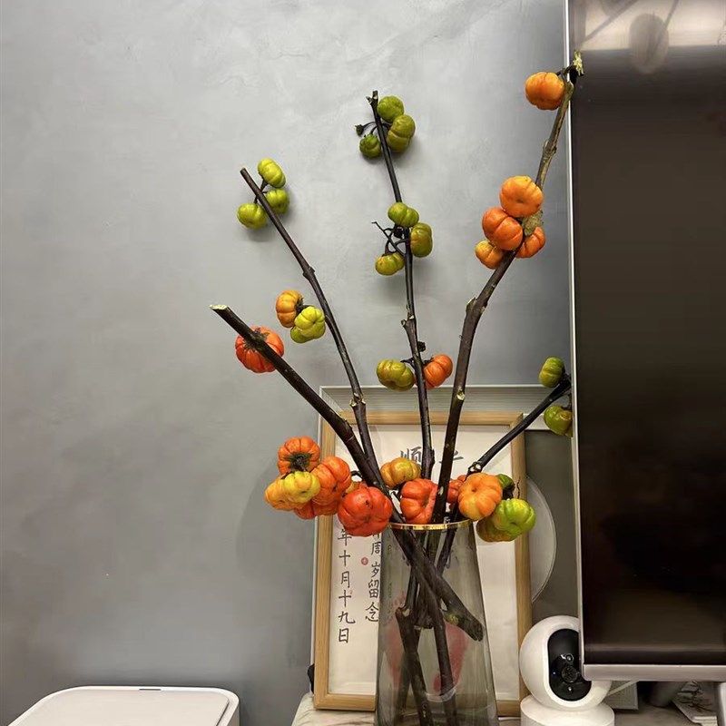 小南瓜鲜花小南瓜鲜切枝观赏小南瓜干花新鲜迷你水培可做干花装饰
