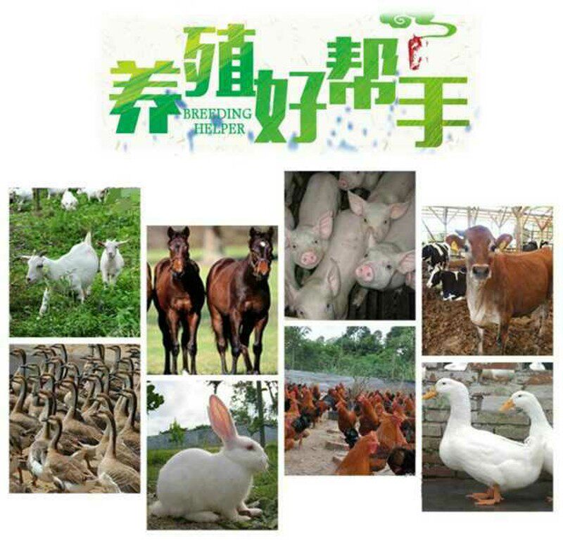 昌鸿机械20-16型锤式玉米粉碎破碎机酒糟打浆机家用220V铜线电机.