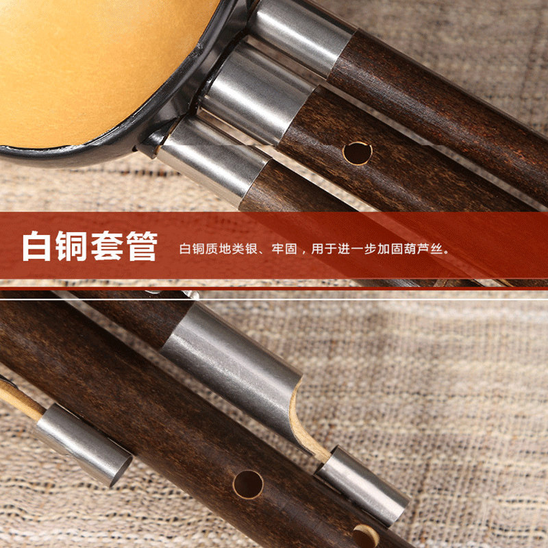 滇南丝韵紫竹葫芦丝乐器初学C调降B调小学生儿童成人初学者胡芦丝