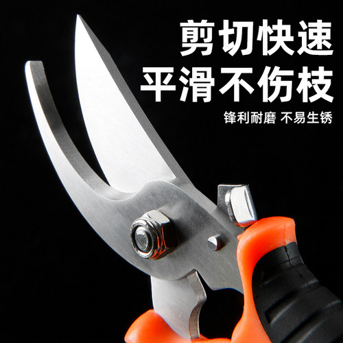 修枝剪园艺剪葡萄剪树枝专用剪刀摘果剪修剪果树园林剪花艺修花剪