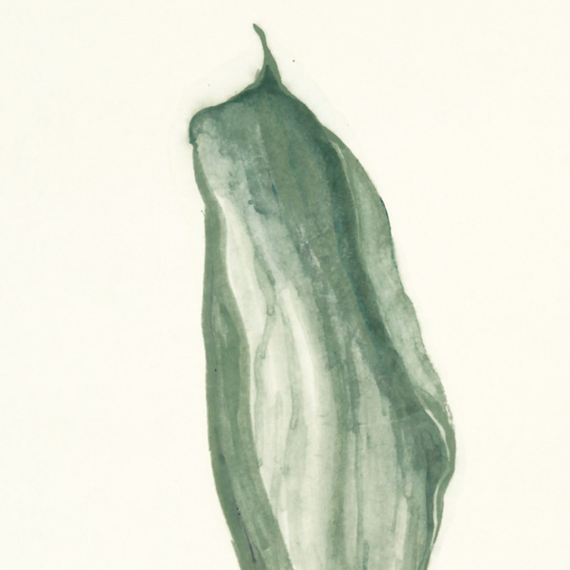 玄关装饰画水墨画大气绿植卧室床头挂画客厅横幅小清新中式艺术画