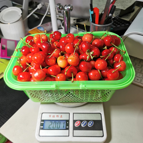 蓝莓篮杨梅篮2345斤装草莓篮樱桃蓝车厘子篮塑料水果篮鸡蛋篮胶框