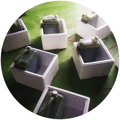 甄选大量海水小球藻浓缩液液轮虫等水产养殖用试用方便快捷