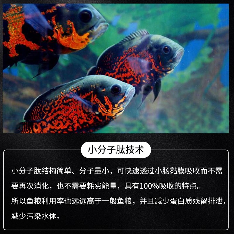 嗨皮鱼地图鱼专用饲料地图鱼专用鱼食鱼粮观赏鱼慈鲷增色通用颗粒