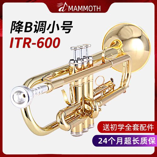 猛犸象磷铜管小号乐器降B调小号黄铜漆金铜管乐器初学演奏ITR-600