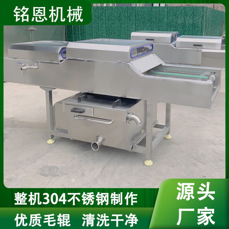 洗粽叶机器 商用芦苇叶清洗设备 毛刷自动去杂清洗机洗叶子设备