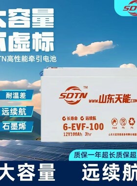 天能石墨烯电池12V100AH道爵丽驰雷丁洗地机电动汽车6EVF110SDTN