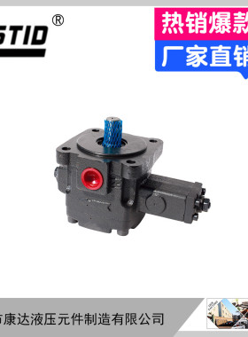 热卖液压油泵变量叶片泵VP泵头液压系统专用VP30平键VP30-FA3轴19