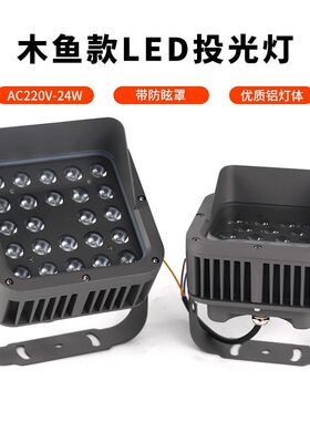 LED义美户外亮化投光灯24W投光灯投射灯洗墙灯楼体亮化泛光灯园林