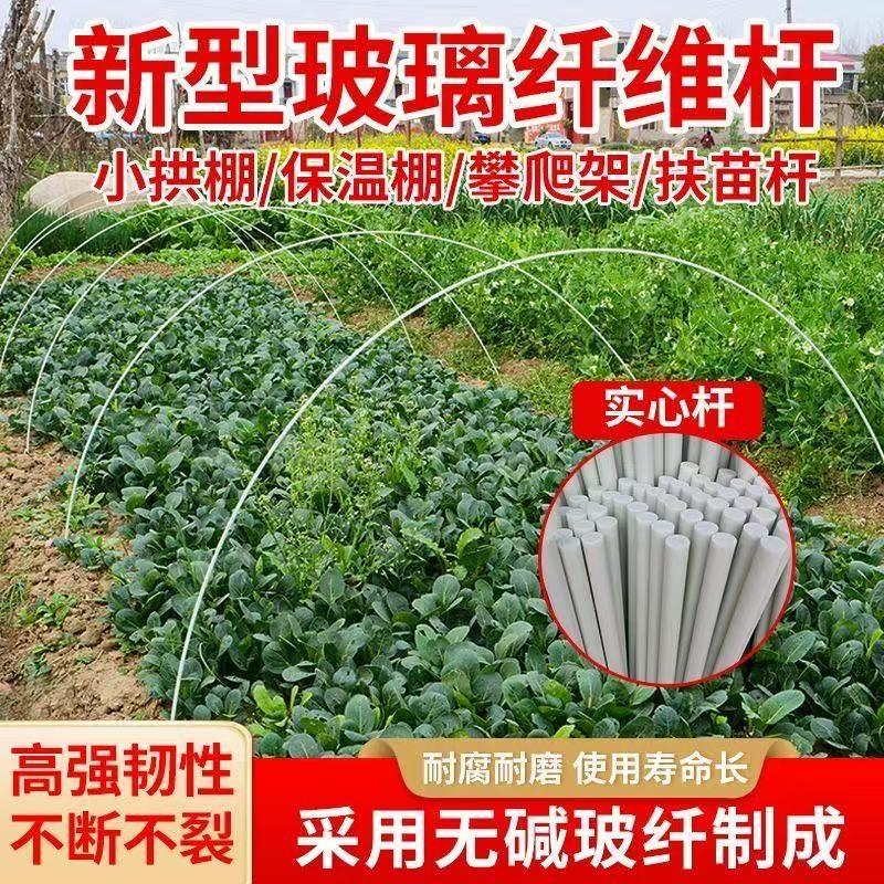 20根农用小拱棚杆遮阳玻璃纤维杆保温支撑杆蔬菜种植大棚菜棚支架