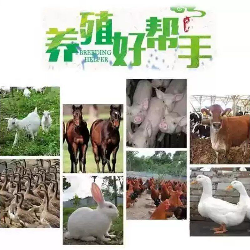 家乐20型锤片式多用破碎机玉米豆饼酒糟粉碎机干湿两用打粉打浆机