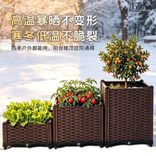 pp树脂高品质蔬菜花卉种植箱