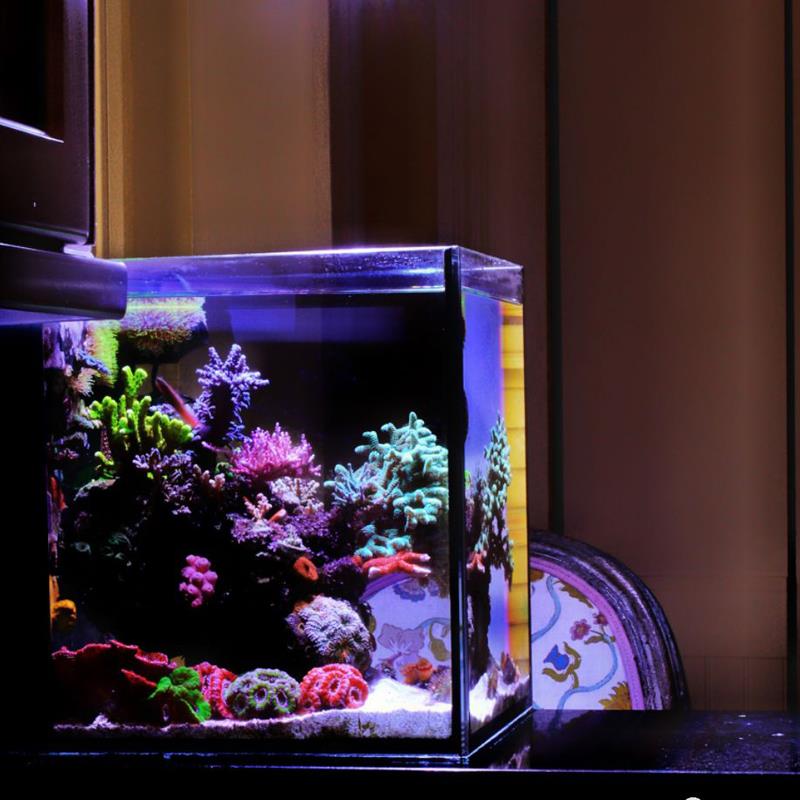海水缸全套设备珊瑚海水鱼缸小型超白专用海缸新手桌面40背滤海缸