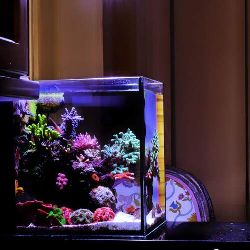 海水缸全套设备珊瑚海水鱼缸小型超白专用海缸新手桌面40背滤海缸