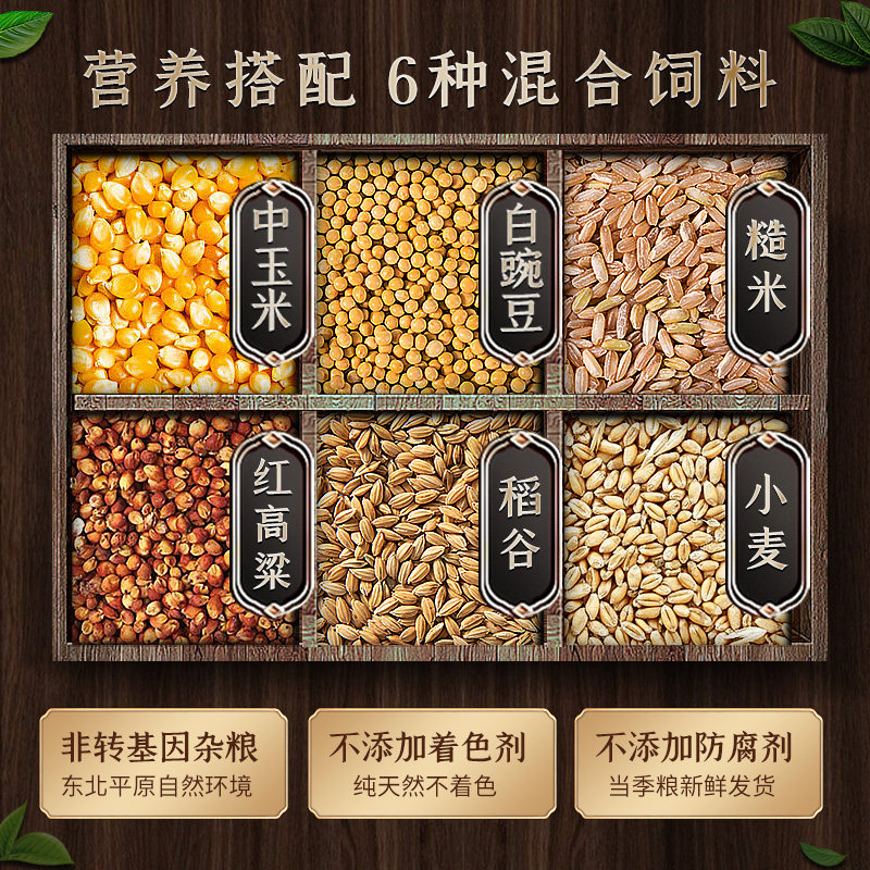 鸽子食粮万家基础营养鸟食信鸽专用有玉米饲料鸽子食鸽粮50斤包邮