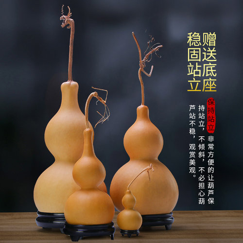 大葫芦特大摆件巨型大葫芦天然客厅超级大号文玩挂件大莲花头胡楼