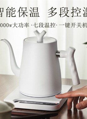 烧水壶泡茶专用2026新款自动恒温煮水咖啡温控电热水壶手冲壶家用
