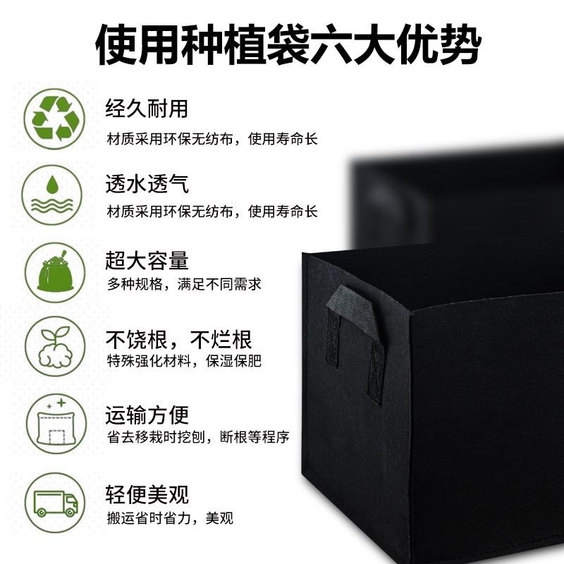 加厚方形美植袋 适用阳台楼顶蔬果育苗用种植袋 多尺寸选择图片