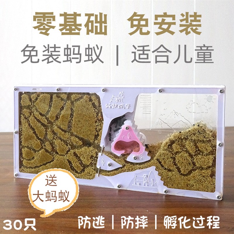 学生专用蚂蚁城堡自然沙巢蚂蚁工坊家园庄园别墅养蚂蚁科普教学