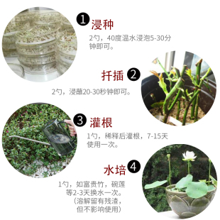 德沃多肥料生根粉植物扦插发根快速强力剂杀菌壮苗多肉移栽通用花