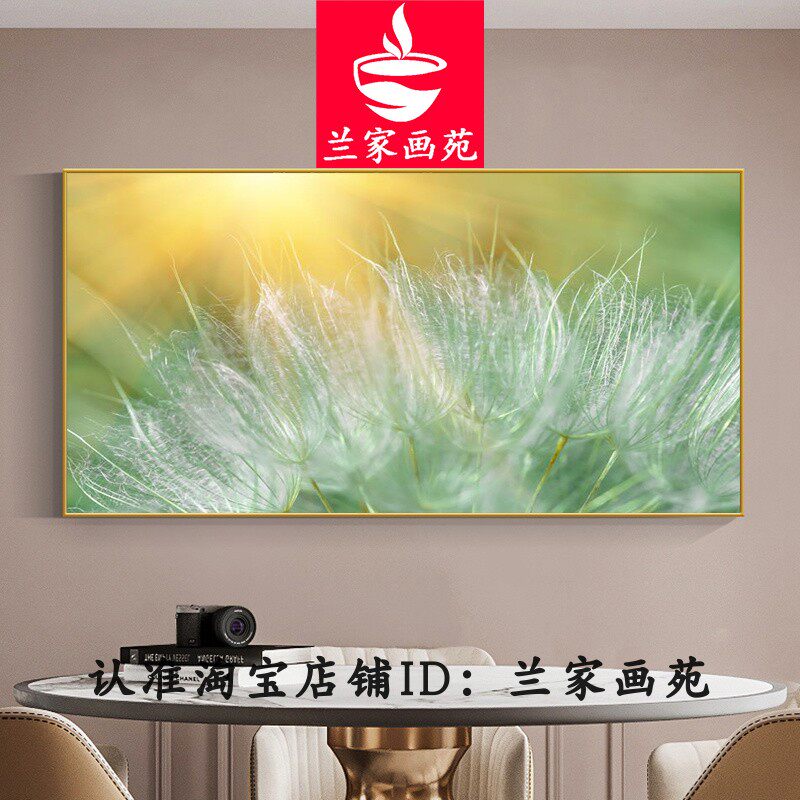 客厅沙发电视墙轻奢装饰画晶瓷画极简床头画唯美透明花卉抽象挂画