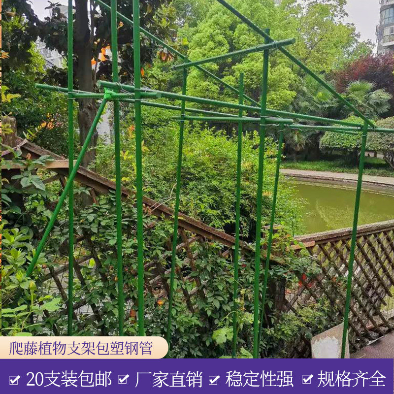 花园葡萄爬藤架庭院植物豆角黄瓜爬藤杆牵引固定包塑钢管园艺支架