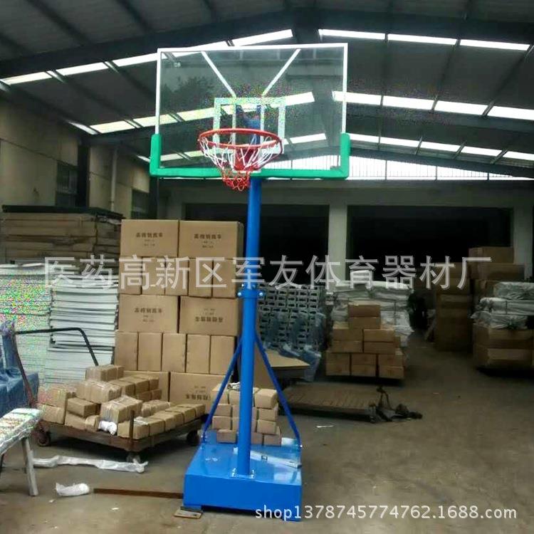 儿童篮球架/室外可升降移动家用标准篮球框小学生成人通用篮球架图片