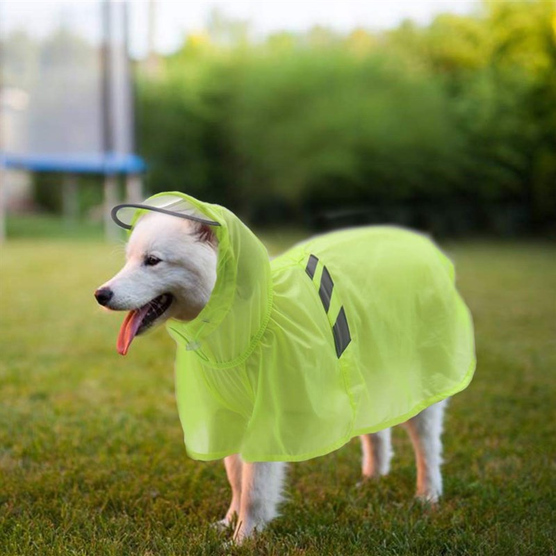 狗狗雨衣宠物透气防水雨披轻薄防晒衣大中小型犬带帽半透明雨衣