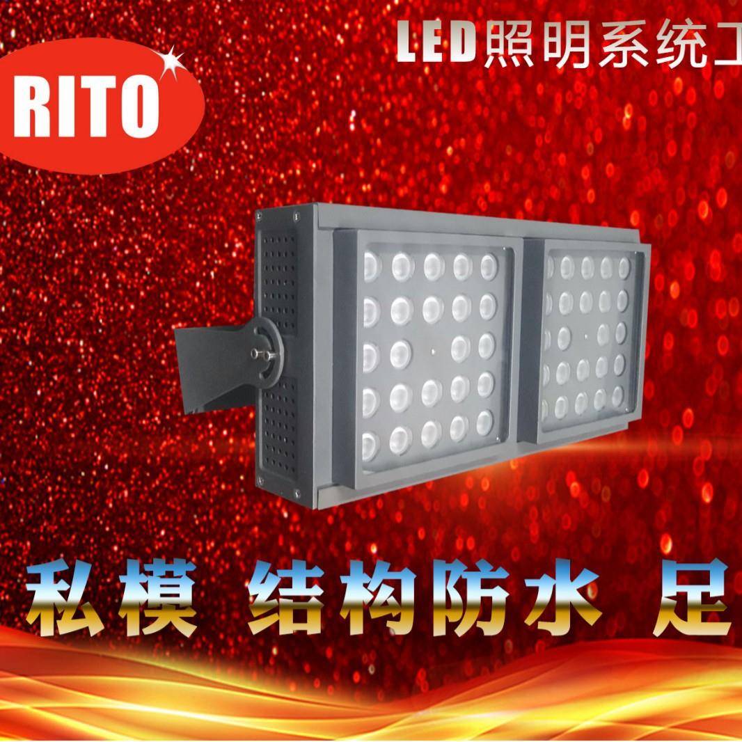 强光超亮led投光灯大功率户外射灯树灯足功率可调光插座室外100w