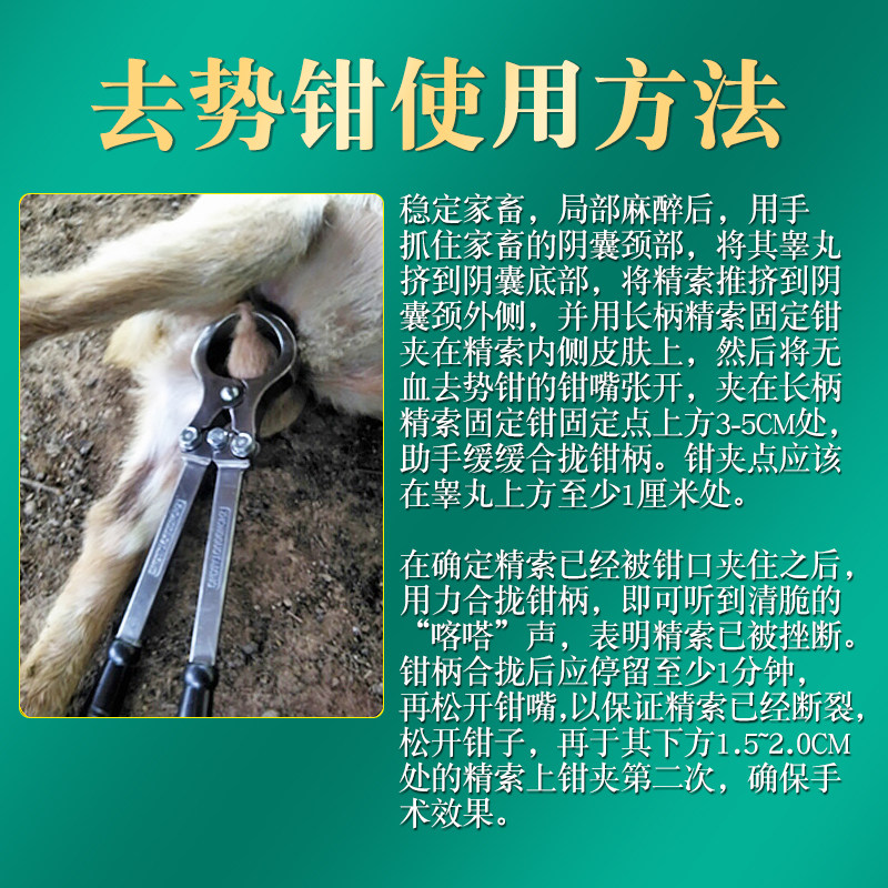 兽用去势钳猪牛羊用阉割钳不锈钢无血去势器煽羊钳牛羊夹蛋钳子