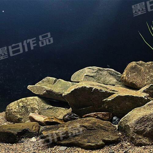 原生溪流缸造景 龟缸 虾虎缸 三湖缸造景石 天然溪流石水族箱装饰